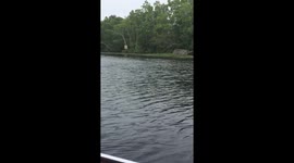 Wild alligator snaps near boat