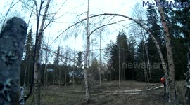 Driving Chainsaw - Cut down Fail