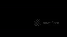 The Everyday Life of Quicksilver