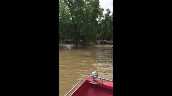 Cowboys in airboats
