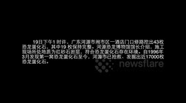 Dinosaur eggs found by construction workers in southern China