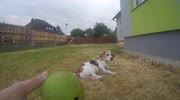 temp