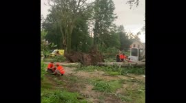 Crews clear downed trees after tornado-like winds blast town in the Netherlands