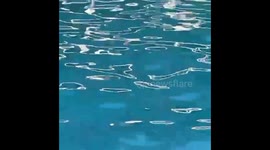 Water movement is almost hypnotic, with the waves that created the universe