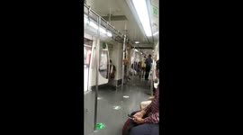 Monkey playing on a metro train in the capital city of India while the passengers are shocked at what the are seeing!!