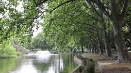 Hyde Park lake and calming fountain with ducks in Perth Western Australia.