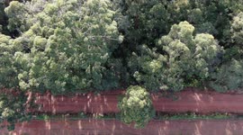 Straight down drone video of red gravel road and SUV driving from right to left of screen