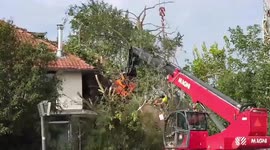 Netherlands: Crews Clear Downed Trees, Debris  After Powerful Winds Blast Utrecht Town 2