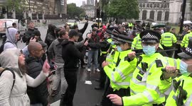 Chaos ensues after protester knocks police officer's hat off in London
