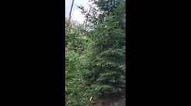 US: Tornado Touches Down, Causes Damages In Chicago Suburbs 3