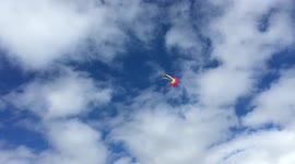 Flying a multicoloured kite in Finsbury Park on a sunny day in June 2020