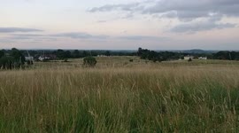 Malvern UK, Sitting amongst the tall grasses during the evening. July 2019