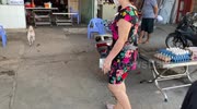 temp