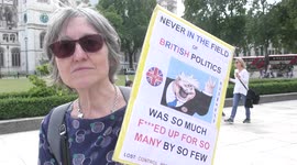 Brexit could be Russia and US interfering