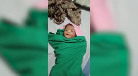 Longer Version_Newborn girl found abandoned amid bushes in central India