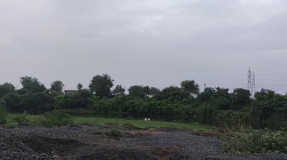 Lovely Weather Near River video |beautiful Nature video l man fishing