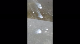 dry ice vaporizes like a volcano that is burning in the magma