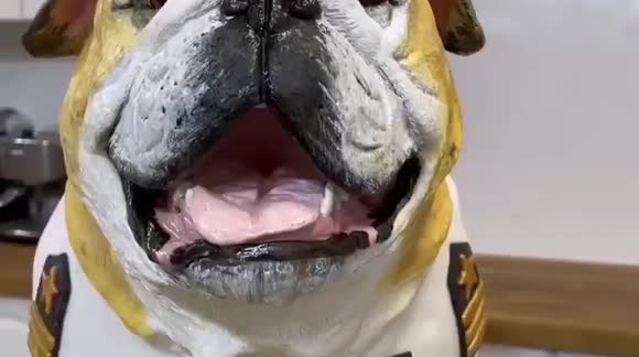 UK baker makes INCREDIBLY realistic cake of bulldog for pet's birthday
