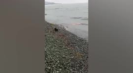 Residents baffled by bizarre burning waves on beach in Indonesia