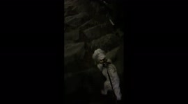 Puppy never turn around