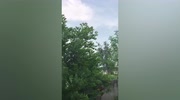 temp