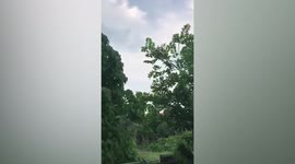 Dangerous volcanic smog emerges from Taal volcano in the Philippines