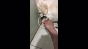 temp
