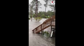 'Heart-Wrenching Compilation Shows the Brutal Aftermath of Hurricane Sally'