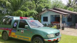 Hog badger family rescued after fleeing rain storm to hide in house