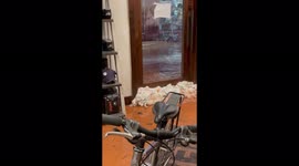 Flash floods in Utah's Zion National Park turn streets into a river