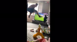 Fan has very sweary reaction to England's win over Germany