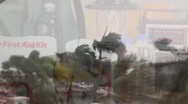 Ways to keep your pets calm during fireworks