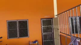 Snake escapes from rescue team and hides in their car