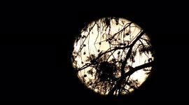 A big strawberry Moon gives its luminous glow in South India.