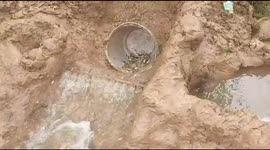 Youth uses novel trick to get fish to catch themselves in southern India