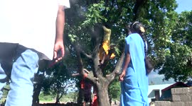 Scared of Covid vaccination tribes climb tree to escape from it in South India.