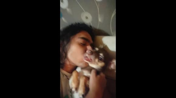 Dog gets angry because his owner annoys him by giving him kisses