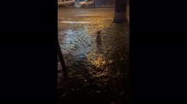 Tiny dog attempts walk up ice-covered pavement in Ukraine