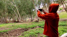 Outdoor traveling tourism mountains and parks photograpy 4k footage