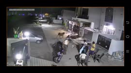 Terrifying Moment as Bull pounced on man injuring him in western India
