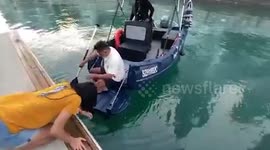 Kind tourists rescue cat trapped in narrow gap of dock in Singapore