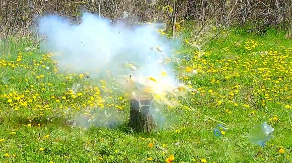 This is what happens when you blow up a bottle full of eggs