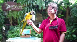 Parrot predicts England will beat Denmark in Euro 2020 semi-final