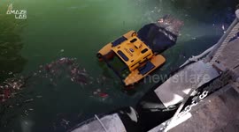 Jellyfish-inspired robot cleans waterways by swallowing up trash