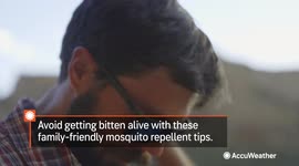 Picking the best family-friendly mosquito repellents