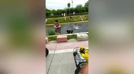 Chinese residents catch schools of fish leaping out of river