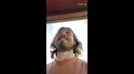 'Injured Dove Let Go Too Early, Falls Down the Stairs '