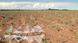 Is Vertical Farming the Future? Take a Look Inside Europe’s New Trend