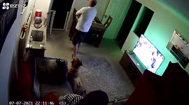 Dog goes wild watching England win in extra time with his dad