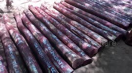 40 red sandalwood seized from smugglers in southern India